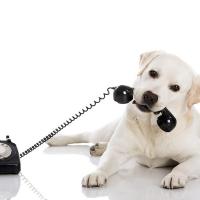 When they need your help ... listen! It may only take a simple phone call to get the correct answers they deserve. 